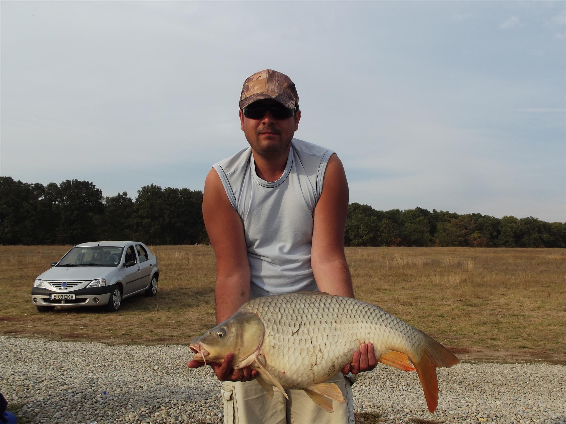 M.Vlasiei 2011 - un-dolofan-de-9-kg.JPG